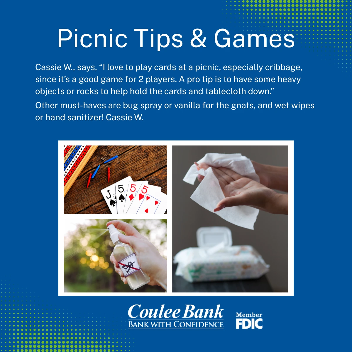 Happy National Picnic Month -Recommendation Play Cribbage