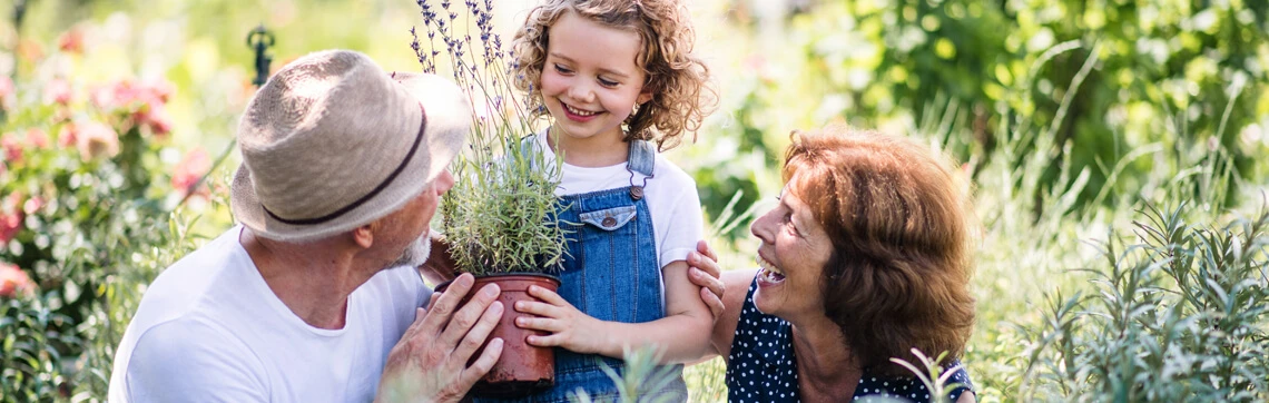 Smiling grandparents and child holding a potted plant in a sunny garden.