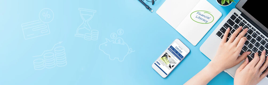 Person typing on a laptop with a phone, notebook labeled 'Financial Literacy,' and financial icons on a blue background.